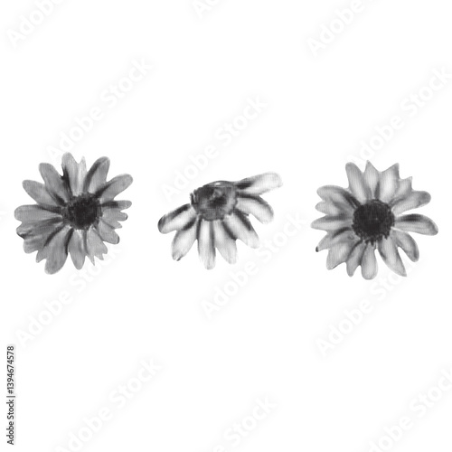 flower in halftones. Aesthetic graphic tattoo. Gothic punk poster.Trendy elements with retro photocopy effect.