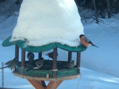 Snow-covered birdhouse with colorful birds in winter scene
