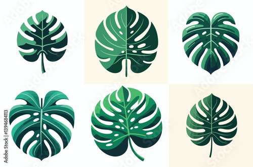 Flat green monstera leaf vector, smooth edges, centered on white background, no gradients