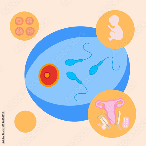Artificial insemination. In vitro fertilization. Egg freezing. Sperm donation. Egg donation. Sperm freezing. Fertility clinic. Vector isolated illustration of fertilization process.
