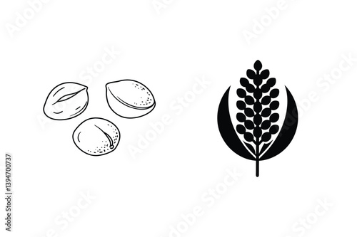 Artistic Line Drawing Of Peanuts And Grain Ear For Farm Fresh Design