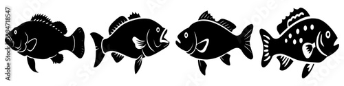 barramundi icon, barramundi silhouette vector illustration-simple silhouette illustration of barramundi, perfect for barramundi logos and icons