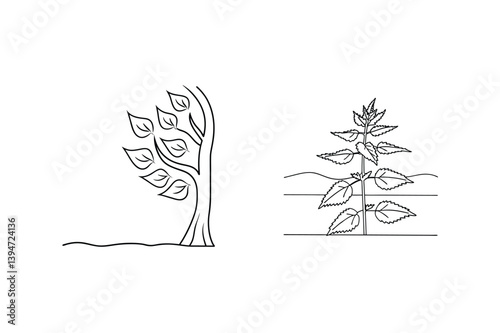 Minimalist Line Art Illustration Of Tree And Stinging Nettle Plant