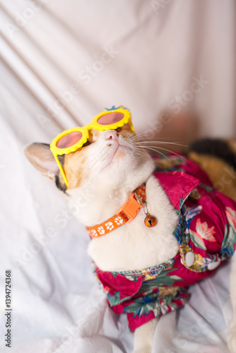Cat wearing a floral shirt for Songkran Festival