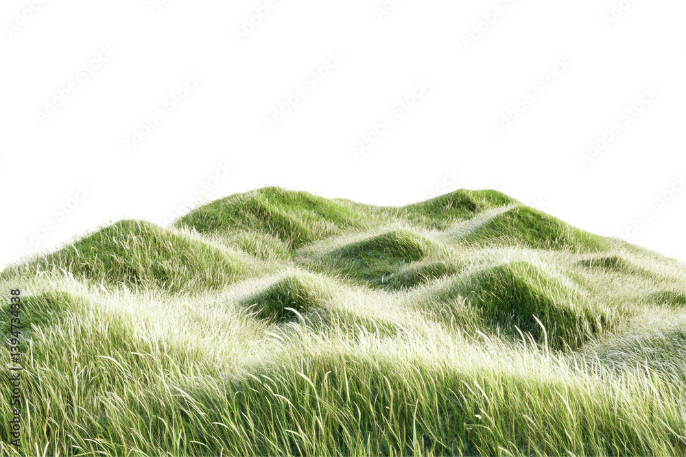 Lush Grassy Hills Lush Grassy Hills