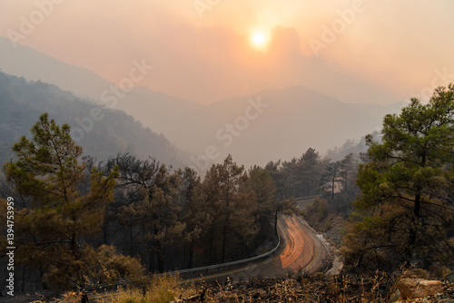 Φωτογραφία Sun shining through a cloud of smoke on Icmeler-Hisaronu road, following forest