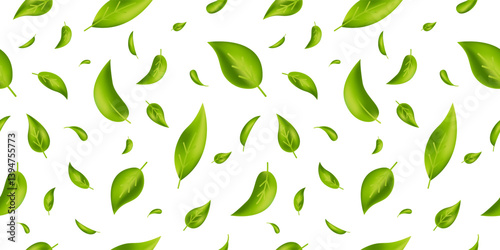 Green tea leaves seamless pattern. Natural vivid plants. Leaf flying. Wave foliage ornament. Vegan, eco, organic design element. Cosmetic frame. Beauty product. Fresh herbal. Vector illustration