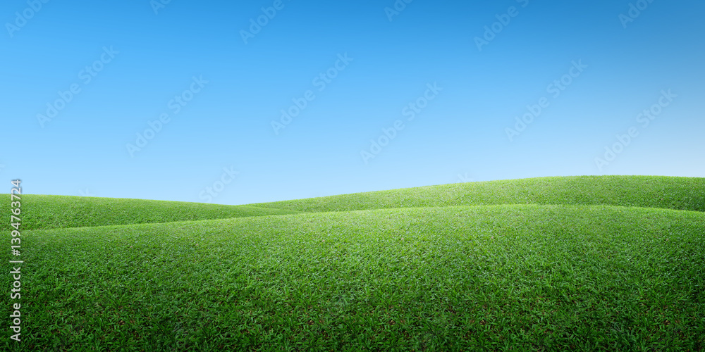 The vast green meadows beneath the sky, clear blue clouds.