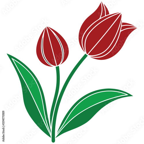 tulips Flower vector on a white background
