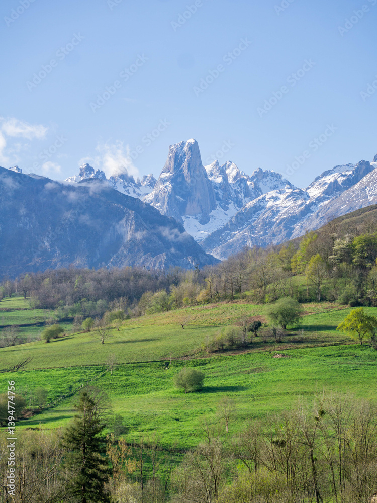 Fototapeta premium Stunning mountain landscape with green lush meadows in the foreground and stunning mountain rugged peaks in the background on a sunny day in Asturias, Spain