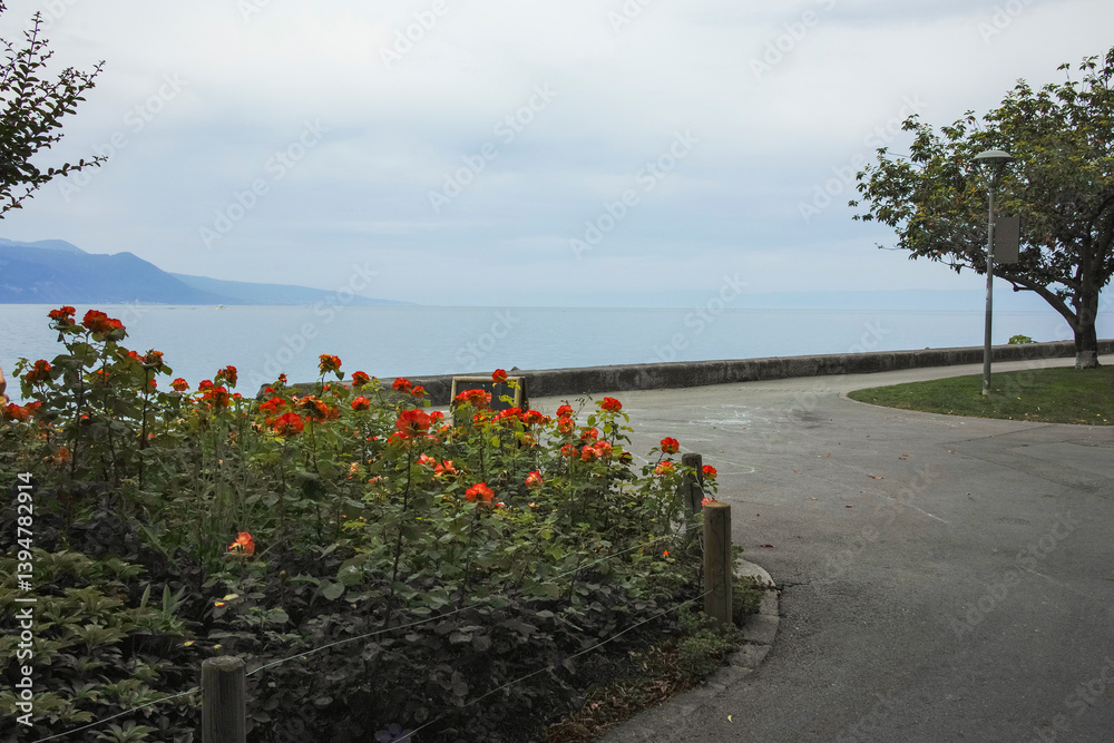 Landscape from town of Vevey to Lake Geneva, Switzerland