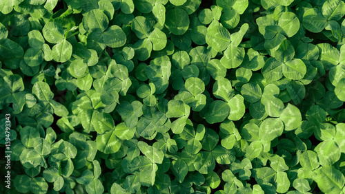 Wallpaper Mural green fresh leaves of the plant Torontodigital.ca