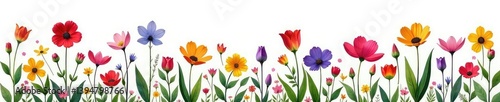 Wallpaper Mural Colorful wildflowers isolated on white ground, petals, wildflowers, flora Torontodigital.ca