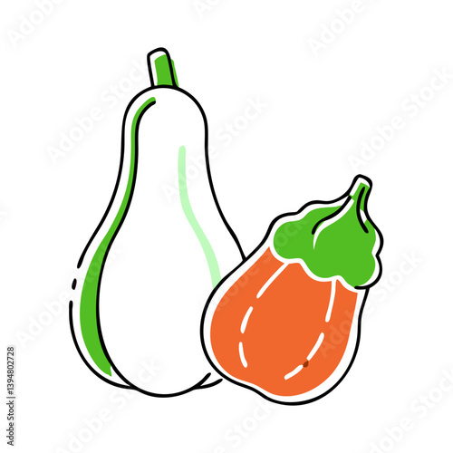 Colorful vegetables of a squash and pumpkin  