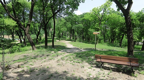 Fototapeta Naklejka Na Ścianę i Meble -  A sun-drenched park path winds through lush greenery.