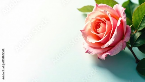 Crisp, bright white surface, perfect for showcasing designs , plain, web