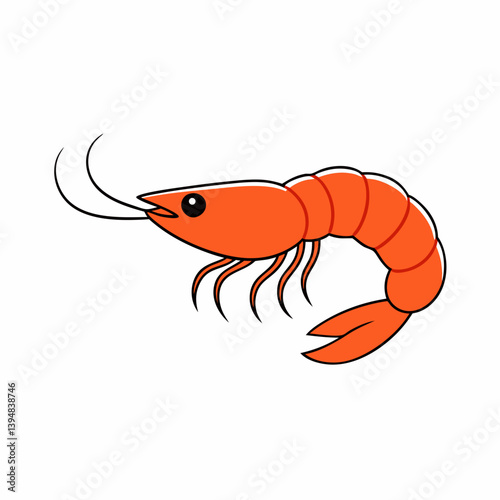 Domestic Shrimp vector illustration