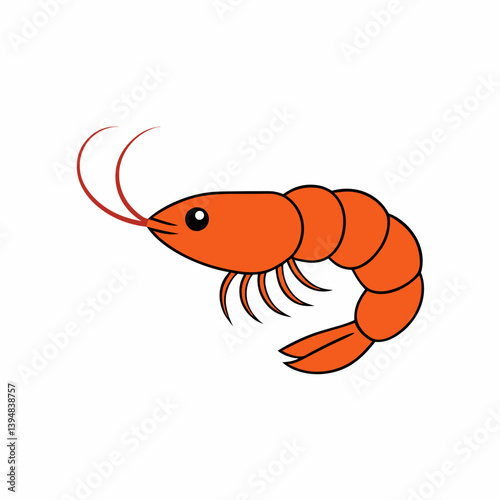 Domestic Shrimp vector illustration