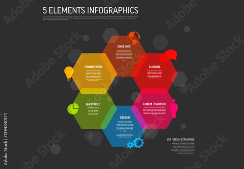 Obraz na płótnie Colorful dark 5 Element Infographic Design Template with flat Hexagon Layout w salonie