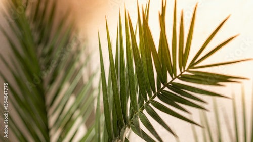 Quadro em tela Green palm frond tropical leaves close-up casting shadow in the sun against a wa