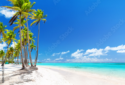 Fototapeta Naklejka Na Ścianę i Meble -  Bounty white sandy shore with coconut palm trees, caribbean sea washes tropical beach in Cap Cana, Dominican Republic.