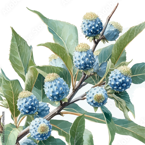 Castor Bean branch, watercolor illustration, isolated on a white background.

