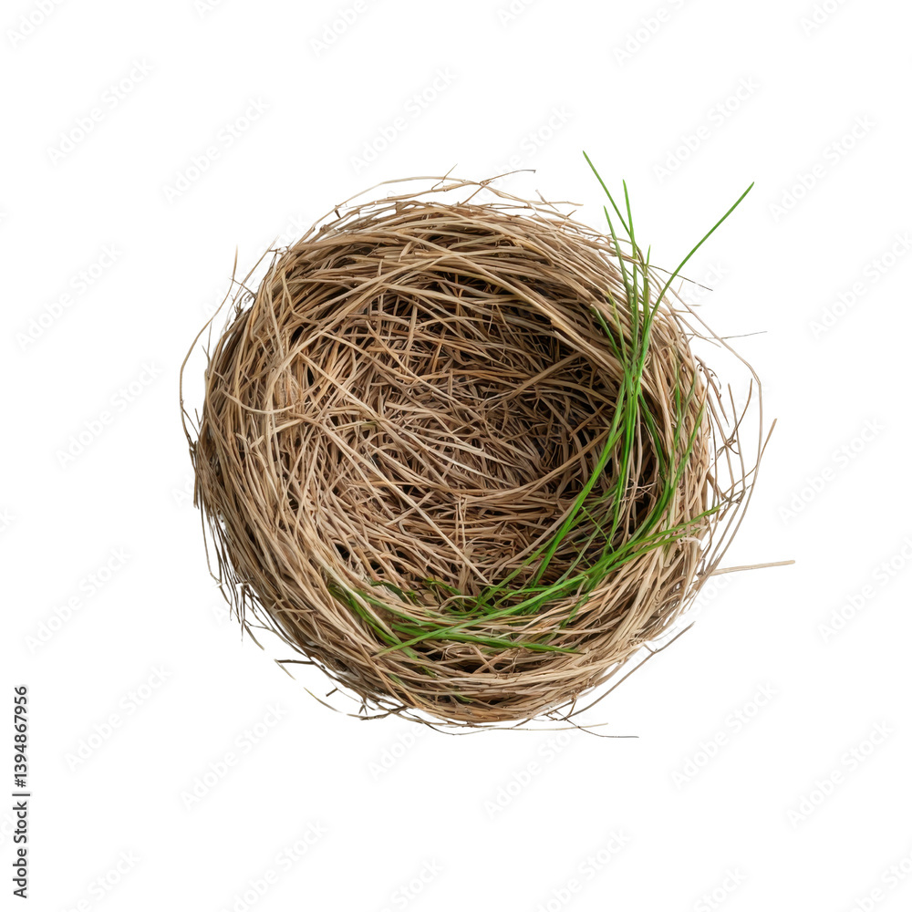 A delicate handcrafted twig nest resting amidst fresh spring foliage symbolizing the cycle of life and the interconnectedness of nature A delicate handcrafted twig nest resting amidst fresh spring foliage symbolizing the cycle of life and the interconnectedness of nature