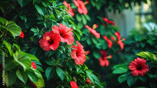 Hibiscus tree showcasing exquisite green leaves.