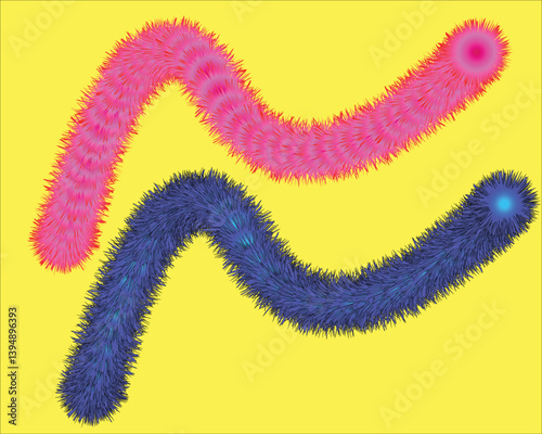 Colorful decoration on a white background