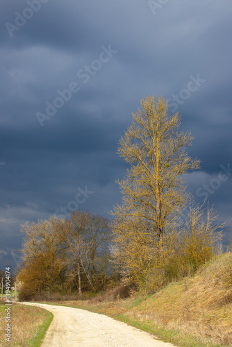 Dramatic cloudy sky before a thunderstorm over a peaceful Ukrainian village. Storm clouds, green grass, bare trees in early spring. Stormy sky over village
