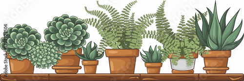 Indoor gardening vector icon set with succulents on a wooden shelf – Perfect for lifestyle blogs, interior décor resources, or wellness branding.