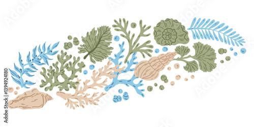 Underwater sea plants. Marine flora. Tropical water alga, seaweed, leaf grass coral shell. Exotic organic natural decoration for aquarium. Flat vector illustration isolated on white background.