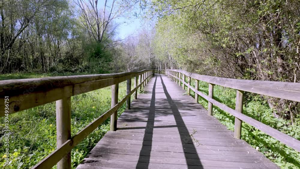 Wooden boardwalk stretches through Parque das Ribeiras, long shadows cast by railings on the planks, surrounded by green meadows and trees under a bright sky. Wooden boardwalk stretches through Parque das Ribeiras, long shadows cast by railings on the planks, surrounded by green meadows and trees under a bright sky.
