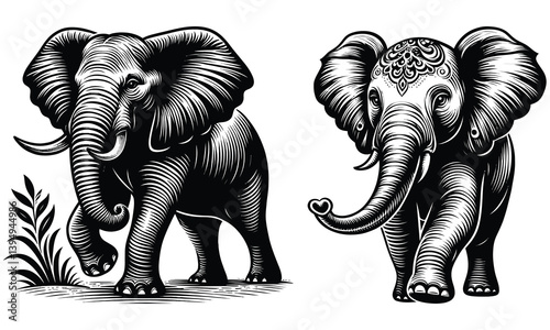 elephant