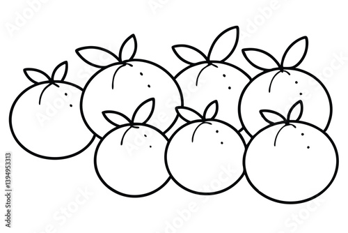 calamondin line art artistic citrus fruit drawing