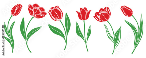 Set of red tulips vector on a white background