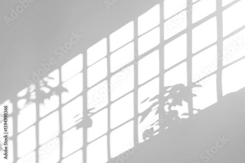 shadow overlay effects of realistic window and tree branch shadow with light blur on transparent background,Summer sunlight and shadow overlay effect
