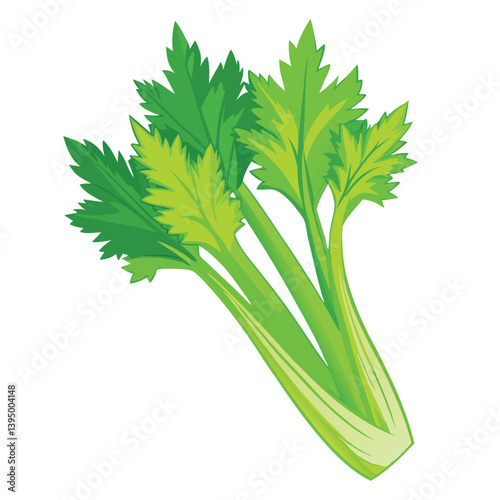 fresh parsley isolated on white