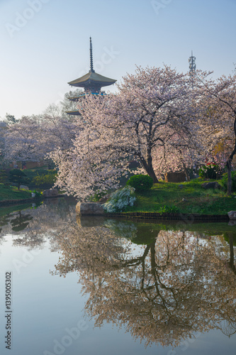 Bild auf Leinwand Wuhan East Lake Cherry Blossom Garden Spring Cherry Blossoms in Full Bloom