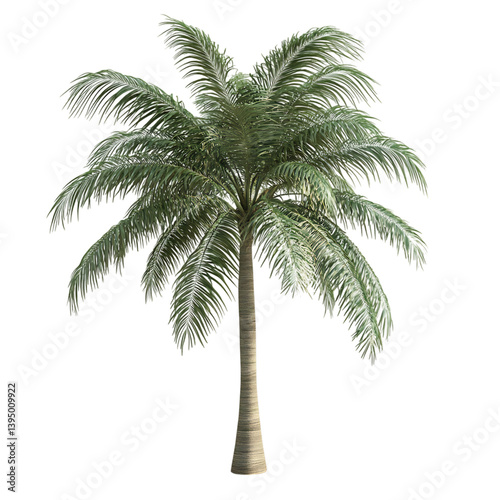 3D Palm Tree with Cascading Fronds Isolated on Transparent Background