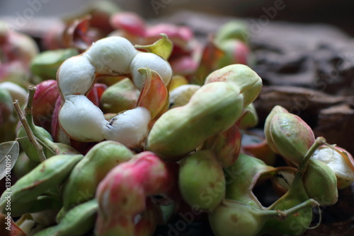 Manila tamarind , Pithecellobium dulce , Ripe Pithecellobium dulce bean, fruit concept. photo