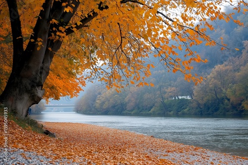 An autumn scene reveals a riverbank adorned with vibrant orange leaves and a peaceful flowing river.