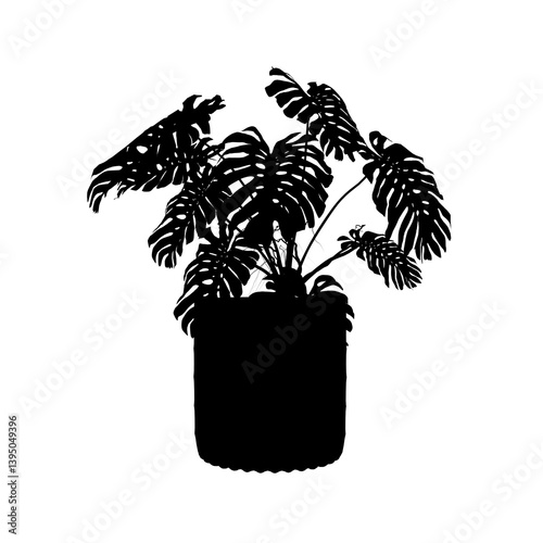 silhouette of a Plant