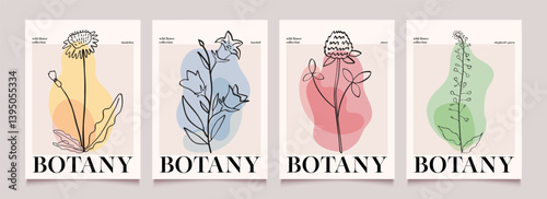 Botanical art. Posters with wild flowers and abstract shape. Modern vector backgrounds with plants. Hand drawn illustration.