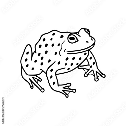 spotted frog illustration