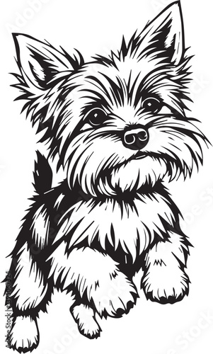 Yorkshire terrier dog. Hand drawn vector illustration	