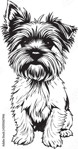 Yorkshire terrier dog. Hand drawn vector illustration	