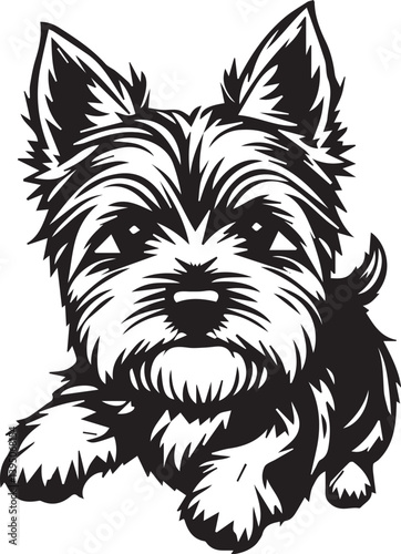 Yorkshire terrier dog. Hand drawn vector illustration	