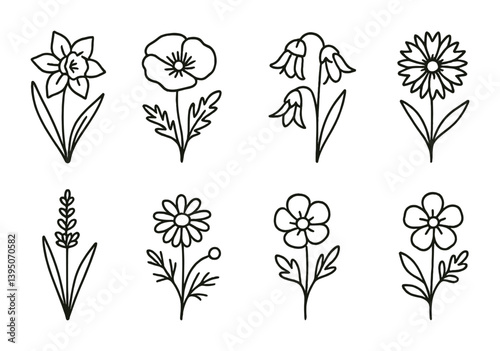 Floral line art icon set: daffodil, poppy, bluebell, daisy & more