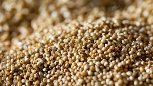 Close Up of Raw Organic Quinoa Seeds Texture